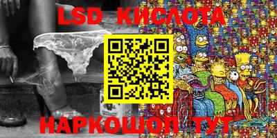 шишки Аргун