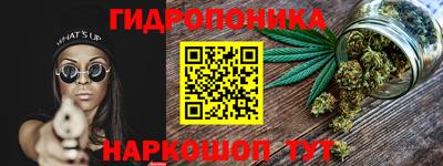 шишки Аргун