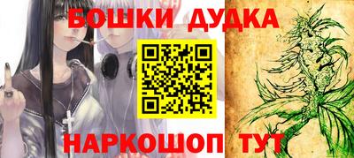 шишки Аргун