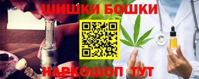 шишки Аргун