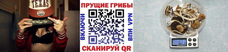 Галлюциногенные грибы мицелий  Балахна 