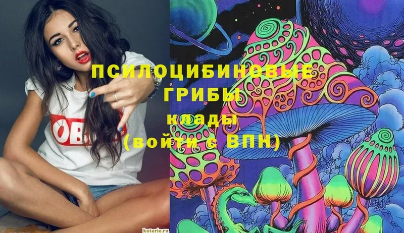 купить  цена  Балахна  darknet телеграм  Галлюциногенные грибы Magic Shrooms 